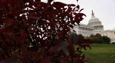 Image for Markets cheer signs of progress to end US government shutdown