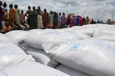 Image for Nigeria's northeast faces worst hunger in a decade as aid cuts hit region, UN says
