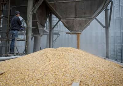Image for Exclusive-Ukraine's 2025 grain harvest may fall 10%, minister says