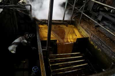 Image for Analysis-The end of cheap palm oil? Output stalls as biodiesel demand surges