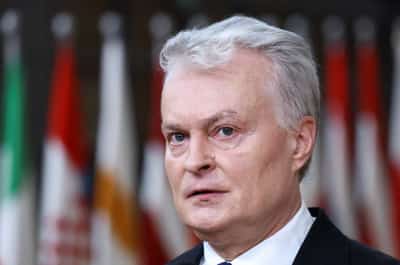 Image for Lithuania president says joint security deal could end Greenland row