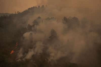 Image for Record Spanish wildfires close part of Camino de Santiago route