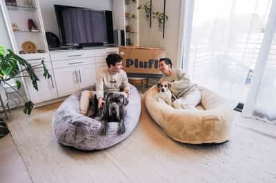 Image for They tried Made in the USA - it was too expensive for their customers