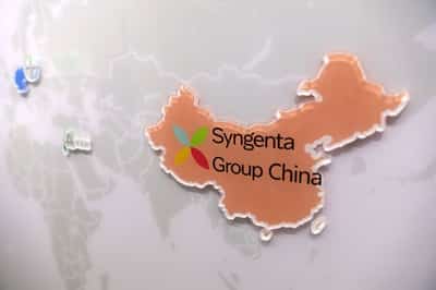 Image for Syngenta plans Hong Kong listing worth up to $10 billion, sources say