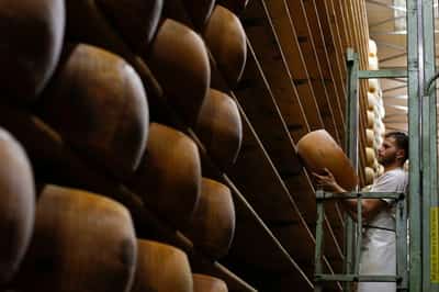 Image for US imports of Parmesan slide in January, Iran war may push up prices