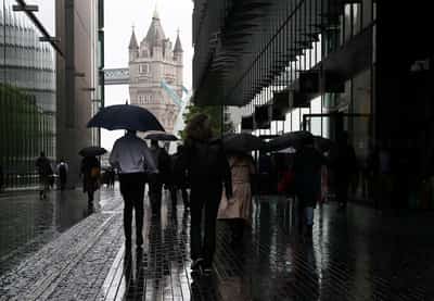 Image for UK services sector returns to growth in May, PMI survey shows