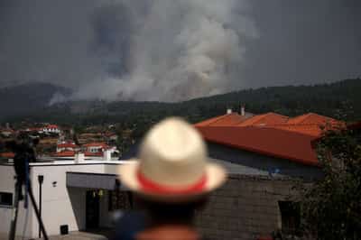Image for Wildfires kill three across southern Europe, force thousands to evacuate