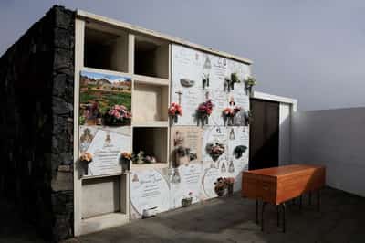 Image for Seven migrant women and children died metres from shore in Canary Islands