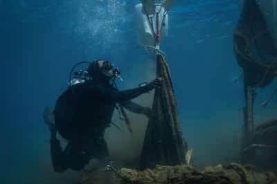 Image for Greek divers haul up ghost nets destroying marine life