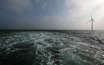 Image for Dutch earmark 1 billion euros for offshore wind farm subsidies