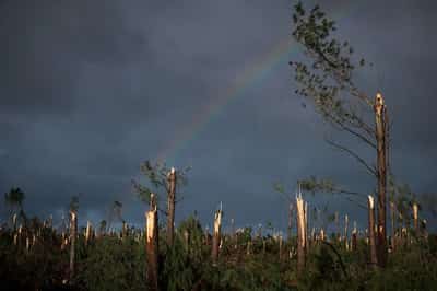 Image for Portugal counts multi‑billion‑euro damage after Storm Kristin tears off roofs