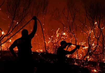 Image for Wildfires fanned by heatwave and strong winds rage across Europe