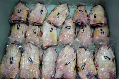 Image for Eight more suspected swine fever cases as Spain struggles to limit export damage