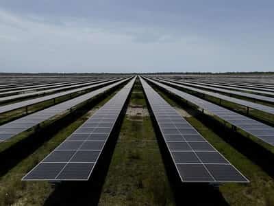 Image for Renewables in vogue as Iran war drives up Europe power prices