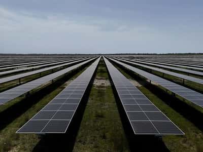 Image for Renewables in vogue as Iran war drives up Europe power prices