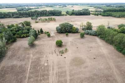 Image for Farmers consider abandoning drought-hit region in central Hungary