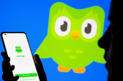 Image for Duolingo's soft bookings forecast overshadows revenue beat, shares plunge