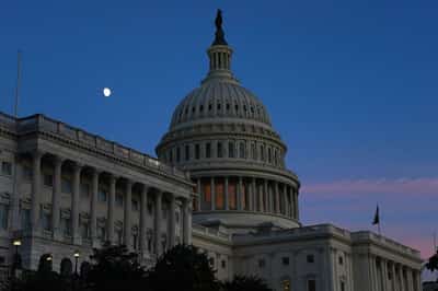 Image for Morning Bid: US politics can't shut down the animal spirits