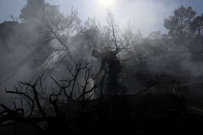 Image for Explainer-How climate change is fuelling wildfires in Europe