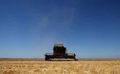 Image for UK rules out trade deals which undercut food standards