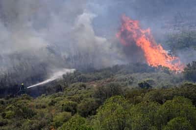 Image for EU sets sights on climate target deal by September