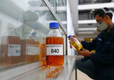 Image for Indonesia regrets EU's move to appeal on WTO biodiesel ruling