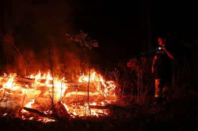 Image for Massive French wildfire now contained, 16,000 hectares affected, local authorities say
