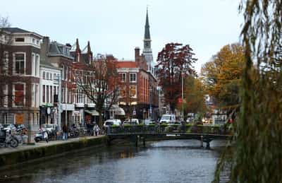 Image for Dutch report calls for $176 billion tech spend, jobless benefit cuts