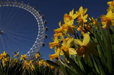 Image for London Eye, pioneering observation wheel, turns 25