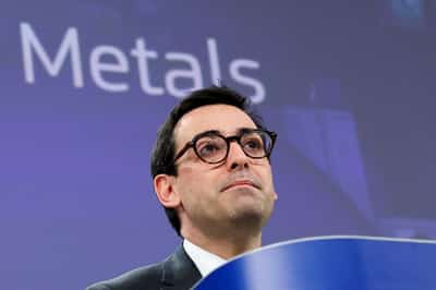 Image for EU needs rare earths strategic reserves against China threat, commissioner tells paper
