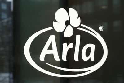 Image for Arla invests $354 million to boost Swedish cheese production capacity