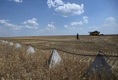 Image for Ukrainian farmers call for lifting of ban on nitrogen fertiliser imports by sea