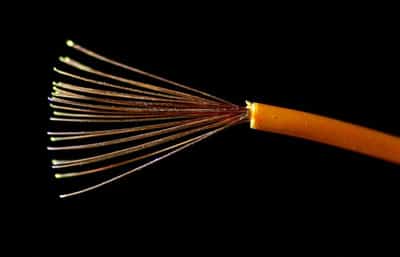 Image for Trump's scrap copper quotas too small to shift the market