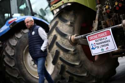 Image for French farmers target food imports as Mercosur protests continue