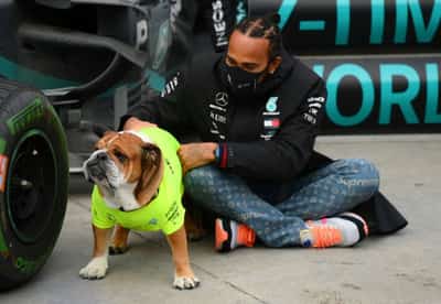 Image for Motor racing-Hamilton mourns death of his bulldog Roscoe