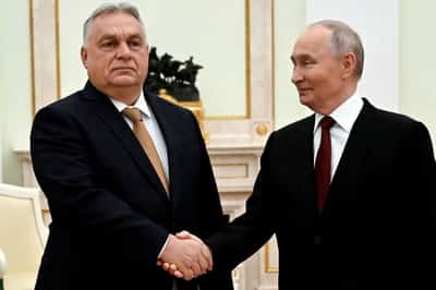 Image for 'At your service': Hungary's Orban offered help to Putin, Bloomberg reports