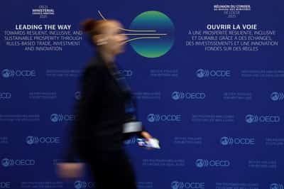 Image for OECD lowers global outlook as Trump trade war hits US growth