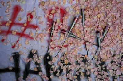 Image for Protesters picnic outside Indonesian parliament on national holiday