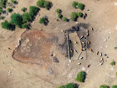 Image for Drought stalks Serbia, harming livestock