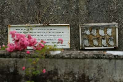 Image for Ireland to begin excavation of mass grave at Church-run Mother and Baby home