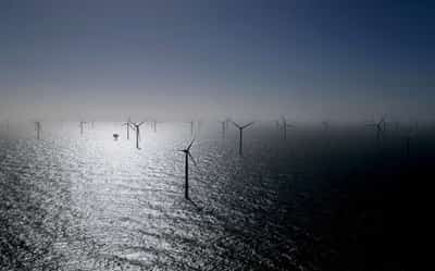 Image for Germany's offshore wind roll-out stalls in H1, lobbies want auction design reforms