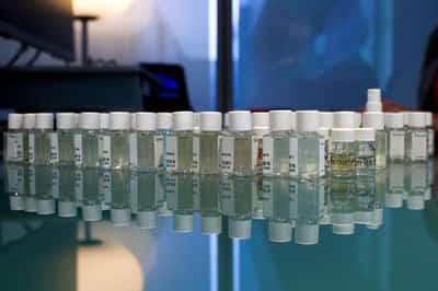 Image for Givaudan sales slowdown sends flavour maker's shares falling