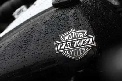 Image for Harley plans to drive profitability with affordable models, lean inventory