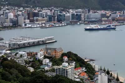 Image for New Zealand's business confidence hits highest level in 30 years, ANZ survey shows