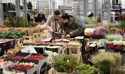 Image for UK economy shows signs of resilience ahead of expected tax-hike budget