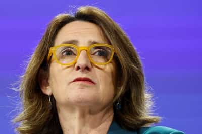 Image for Analysts cut EU carbon price forecasts on policy reforms