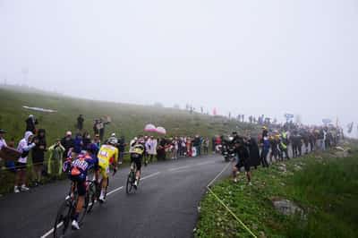 Image for Cycling-Tour de France shortens stage 19 after cattle disease outbreak forces route change