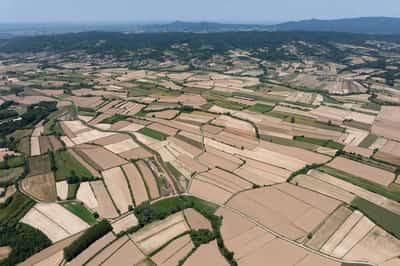 Image for EU efforts to diversify critical raw material imports fail so far, auditors say