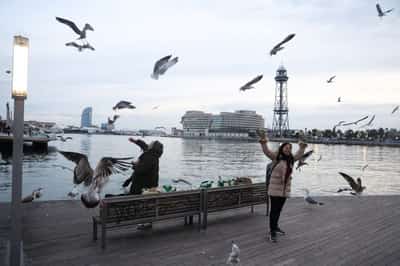 Image for Spain expects tourist arrivals to keep growing in 2026