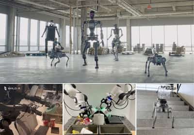 Image for Amazon-backed Skild AI unveils general-purpose AI model for multi-purpose robots